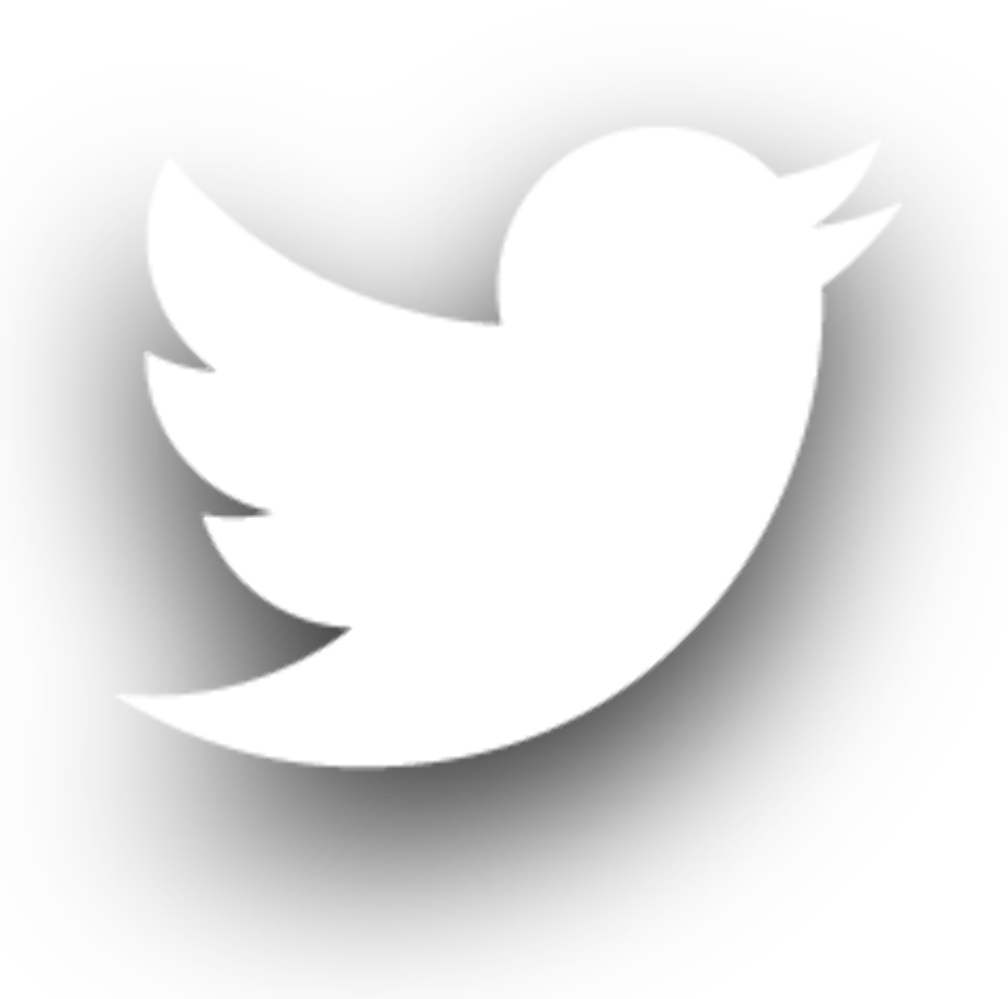 Twitter Icon